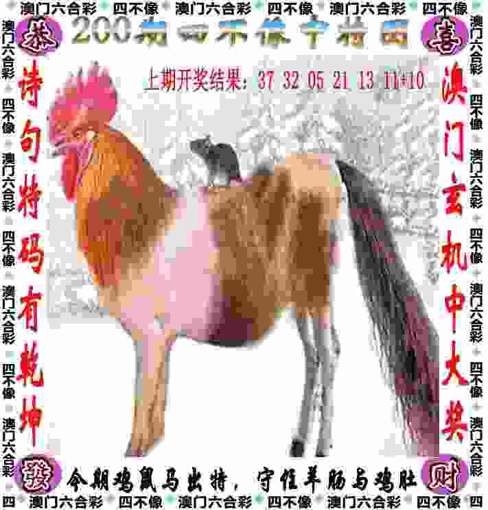 陈梦：最后一届奥运会非常圆满